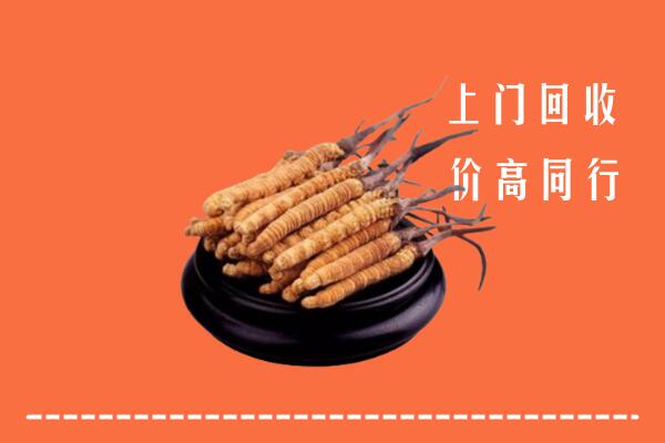 高价求购：兰州回收散虫草
