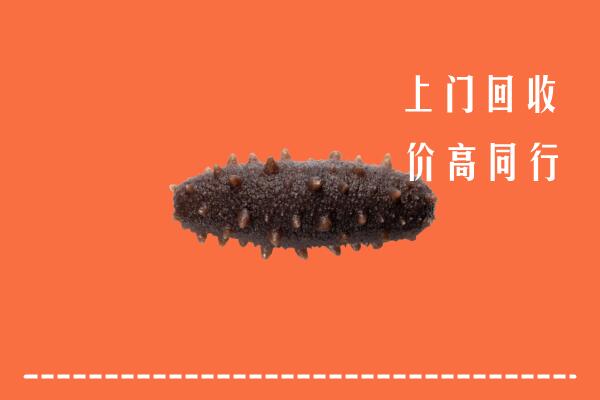 高价求购：兰州回收海参